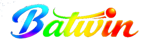BATWIN official website logo